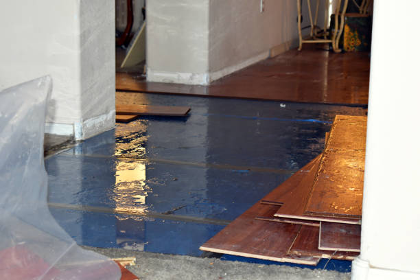 Professional Flood Cleanup technician working in Round Mountain, TX